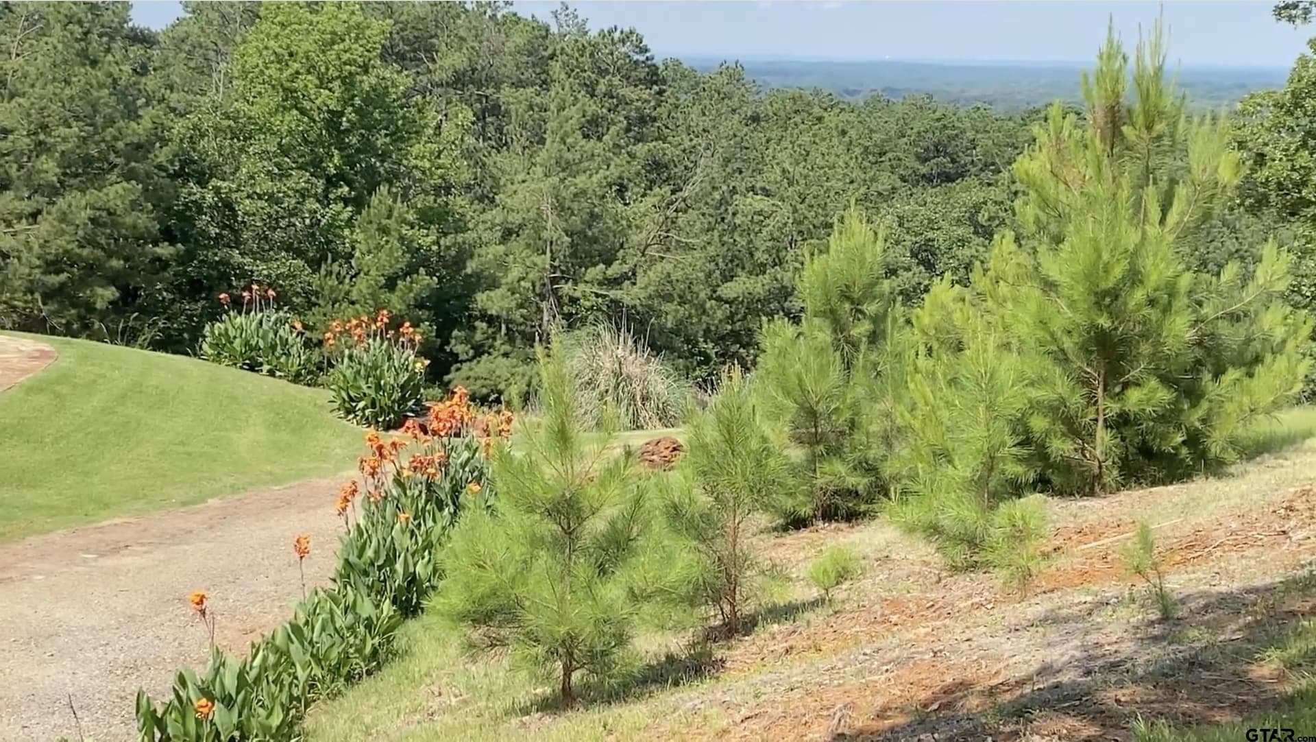 1 acres in Anderson County - photo 4