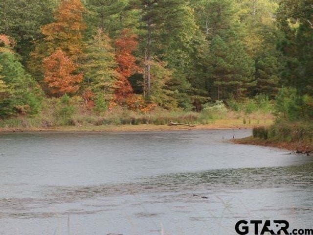 1 acres in Anderson County - photo 10