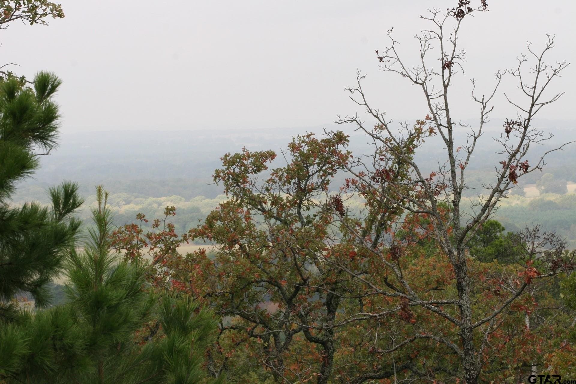 1 acres in Anderson County - photo 2