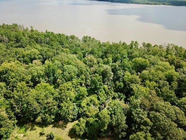 11.29 acres in Texas County gallery image 3