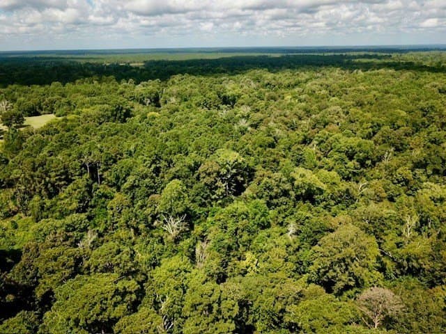11.29 acres in Texas County gallery image 2