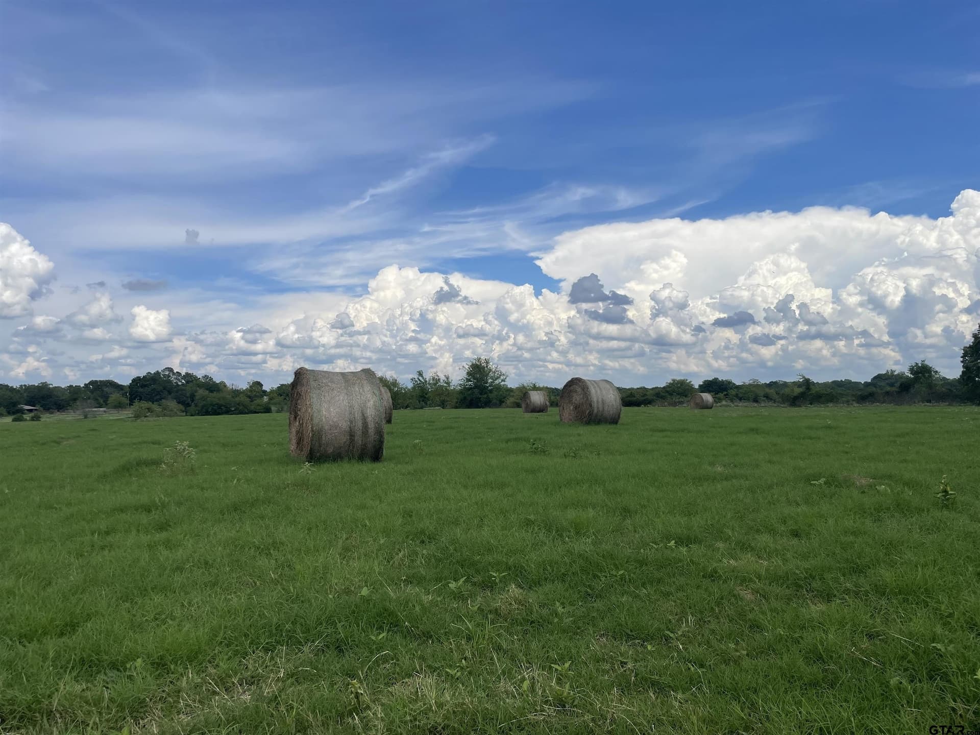 125 acres in Titus County gallery image 3