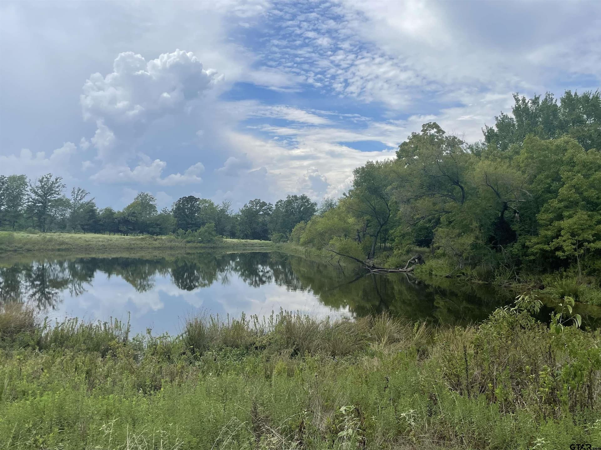 125 acres in Titus County featured view