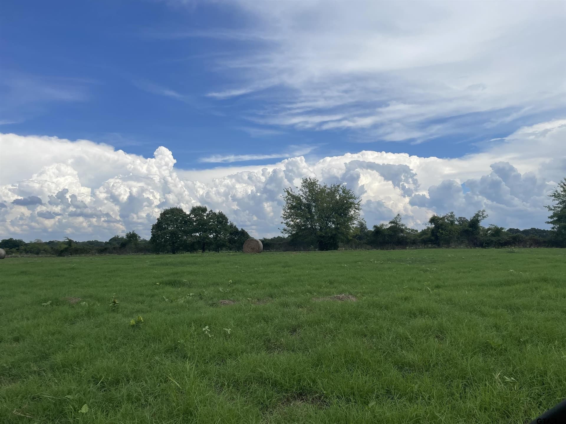 125 acres in Titus County gallery image 4