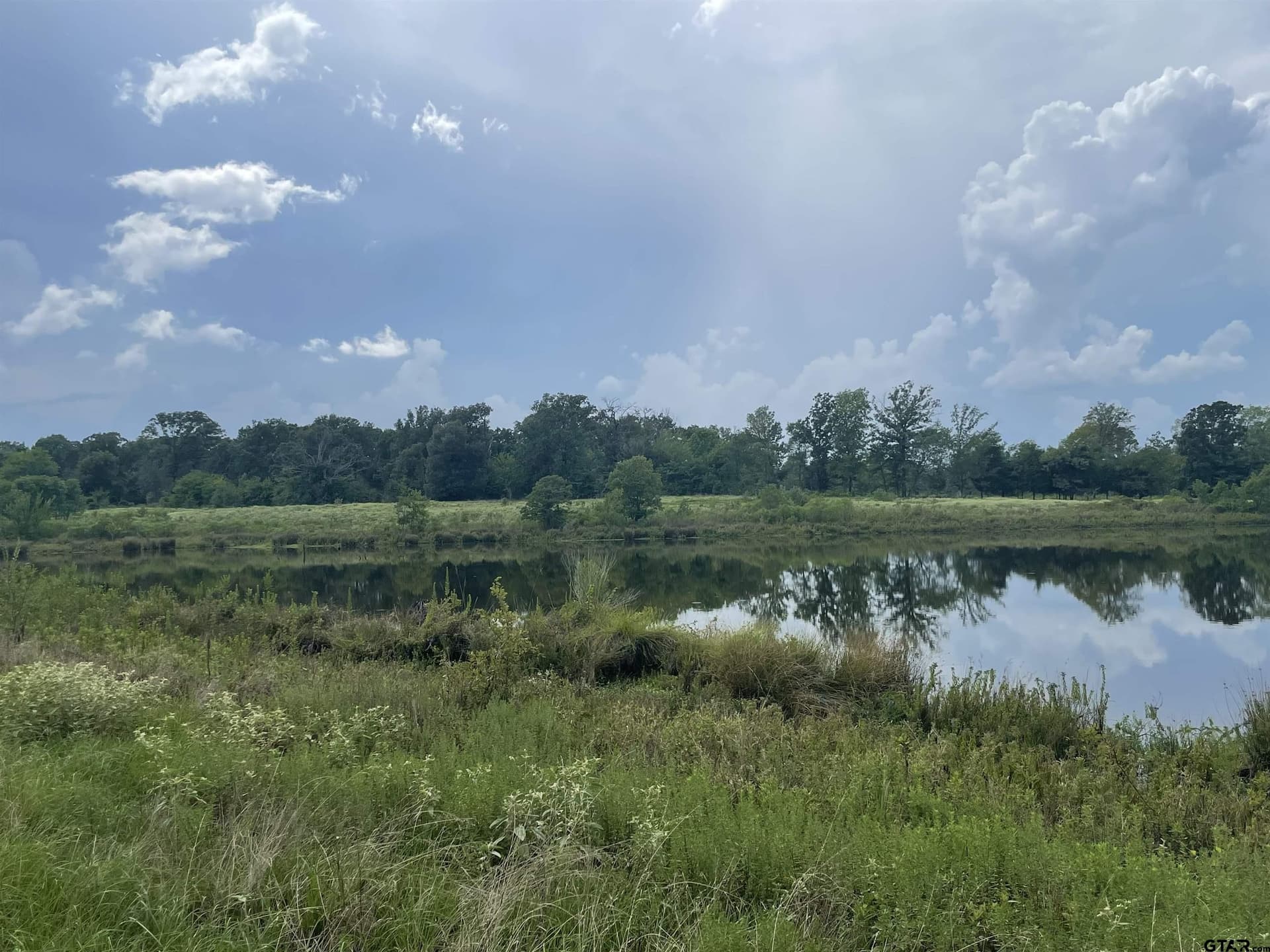 125 acres in Titus County