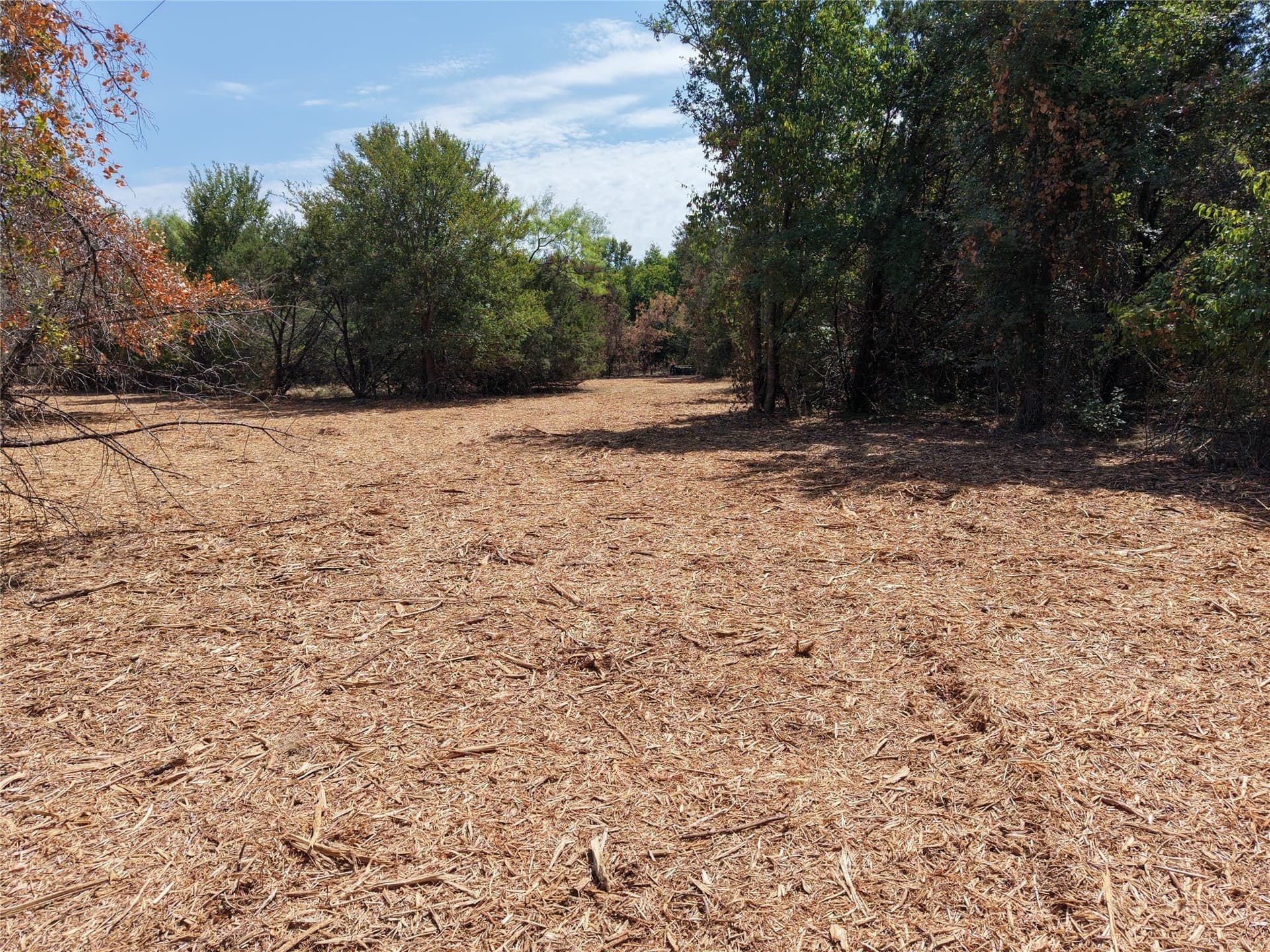 16.3 acres in Bosque County - photo 13