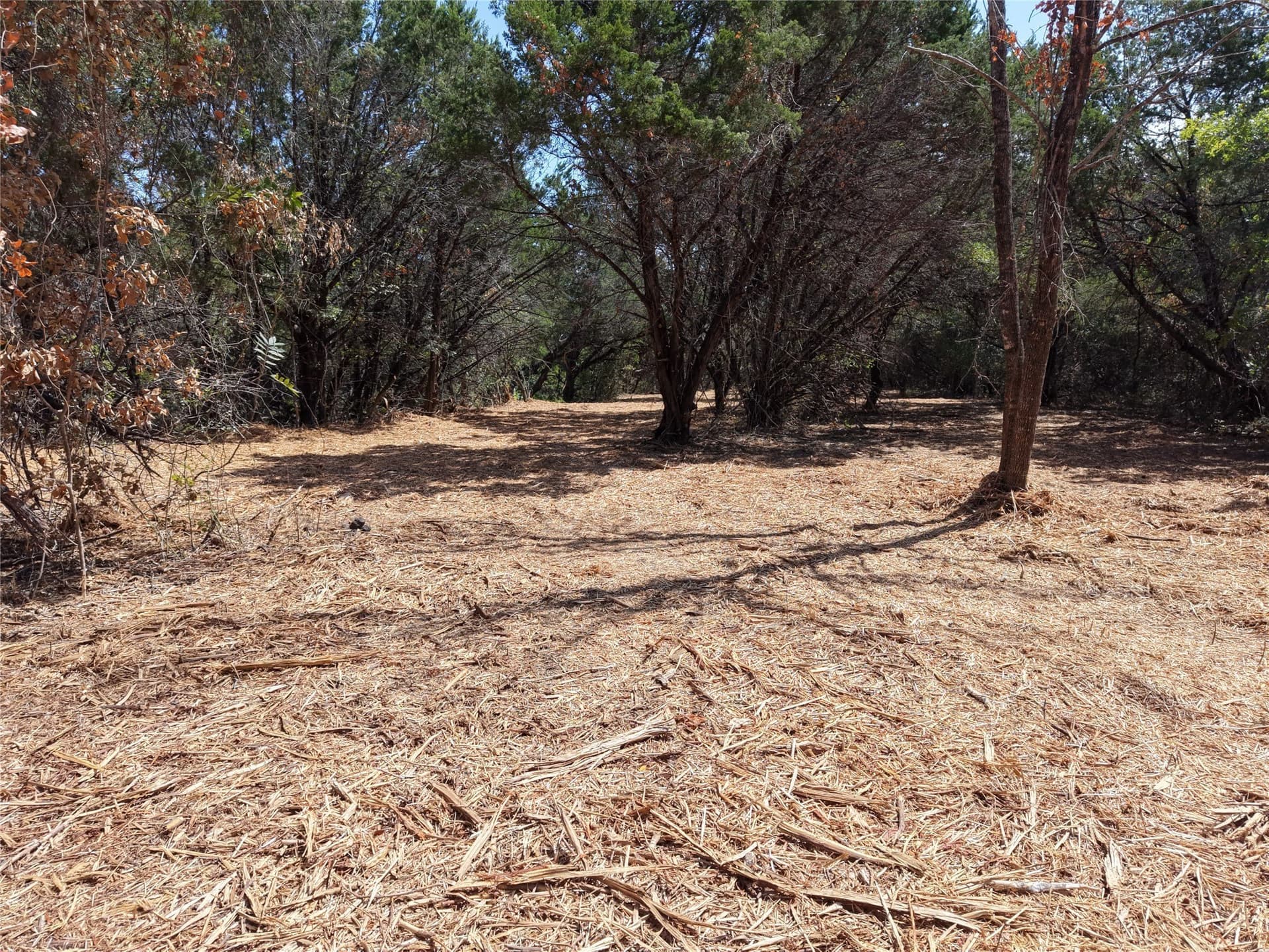 16.3 acres in Bosque County - photo 14