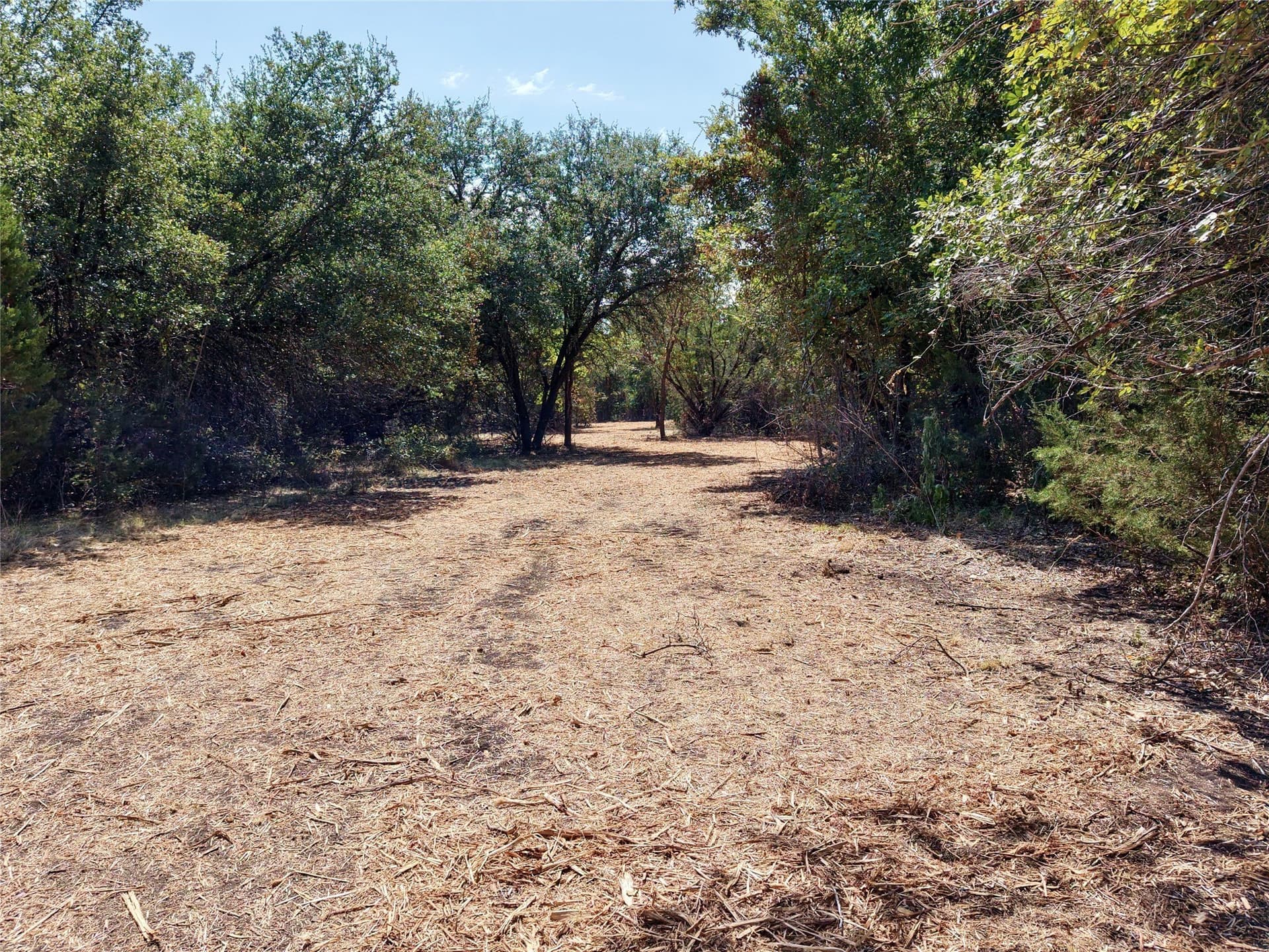 16.3 acres in Bosque County - photo 10