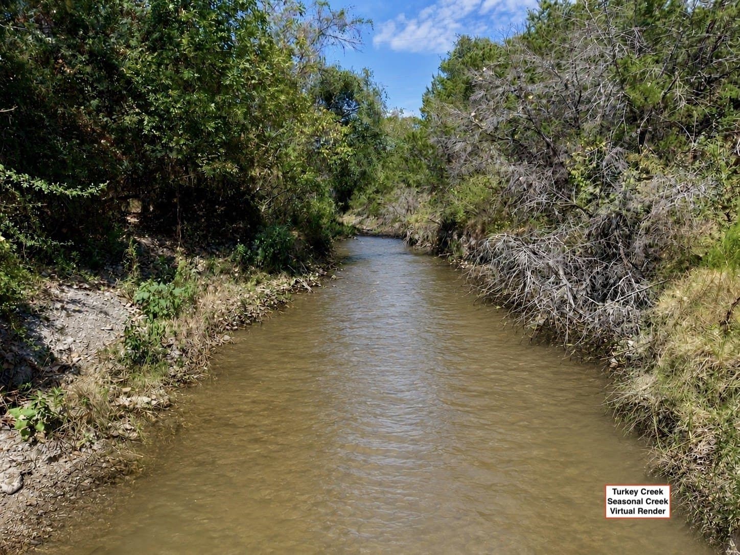 16.3 acres in Bosque County - photo 4