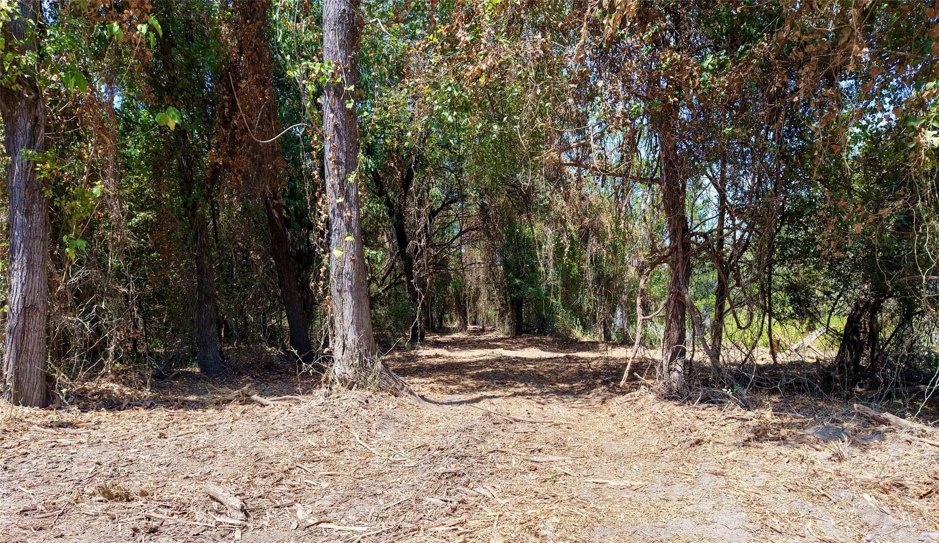 16.3 acres in Bosque County - photo 21
