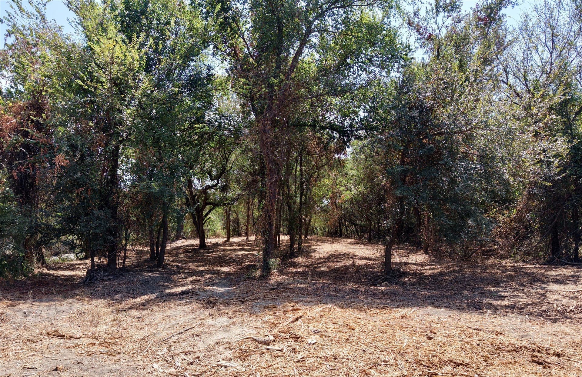 16.3 acres in Bosque County - photo 22