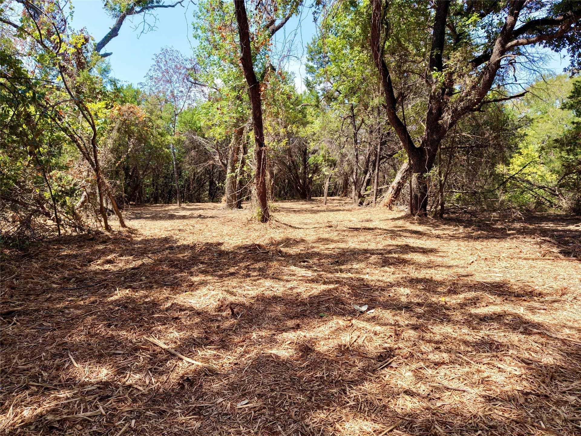 16.3 acres in Bosque County - photo 17
