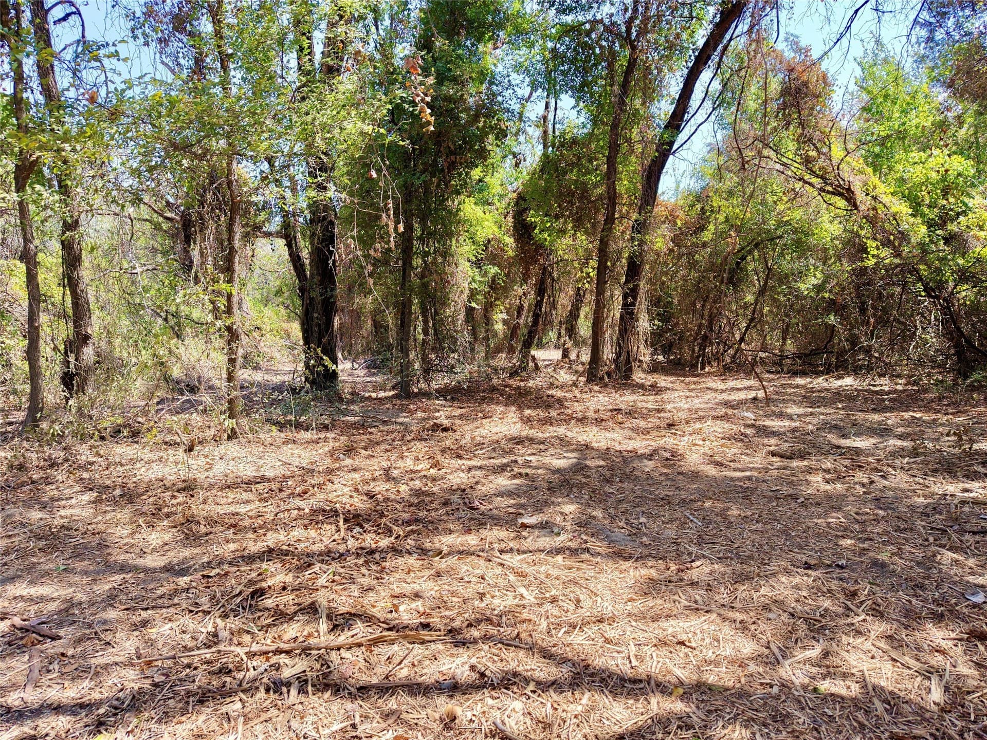 16.3 acres in Bosque County - photo 18