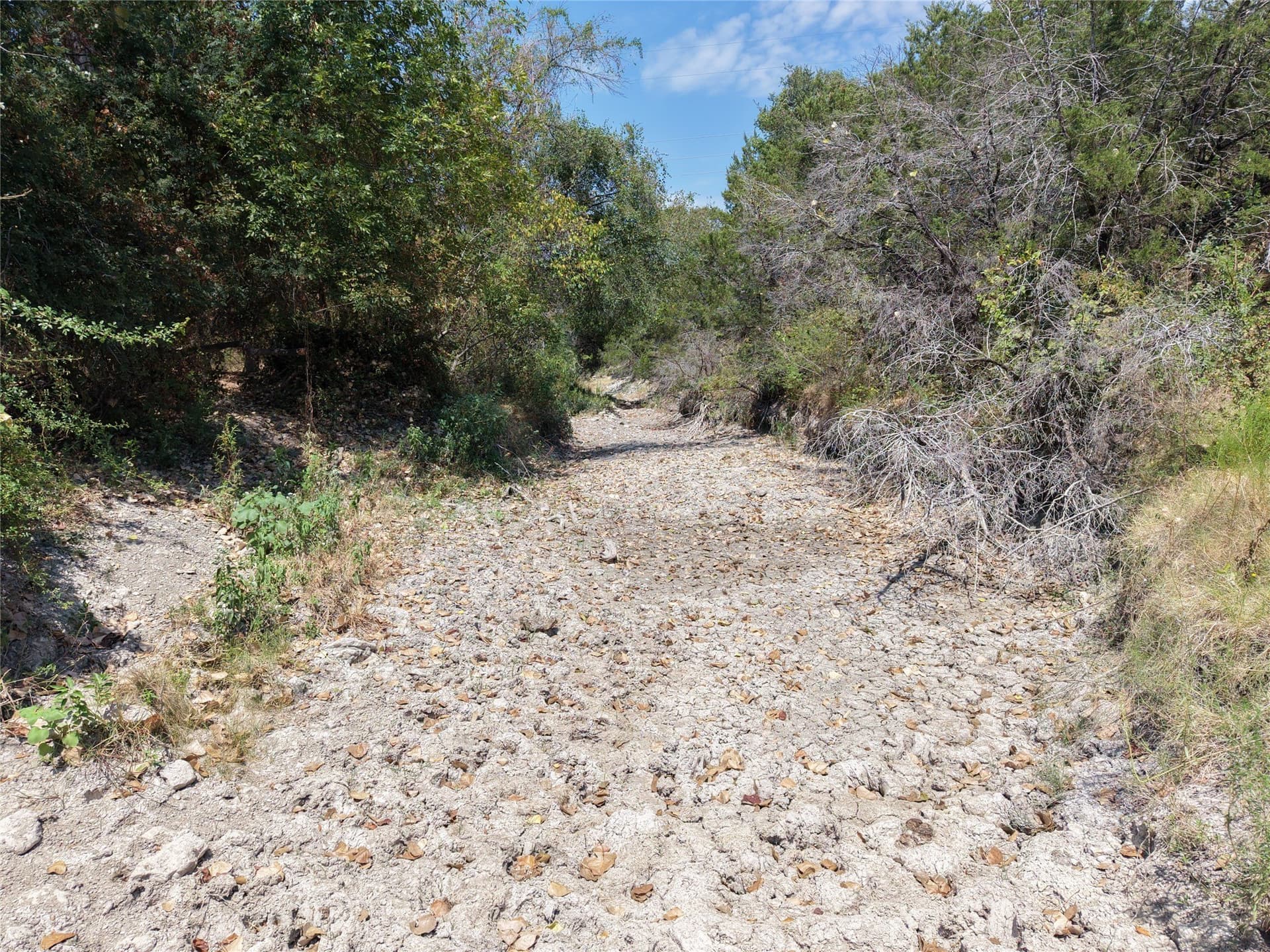 16.3 acres in Bosque County - photo 5