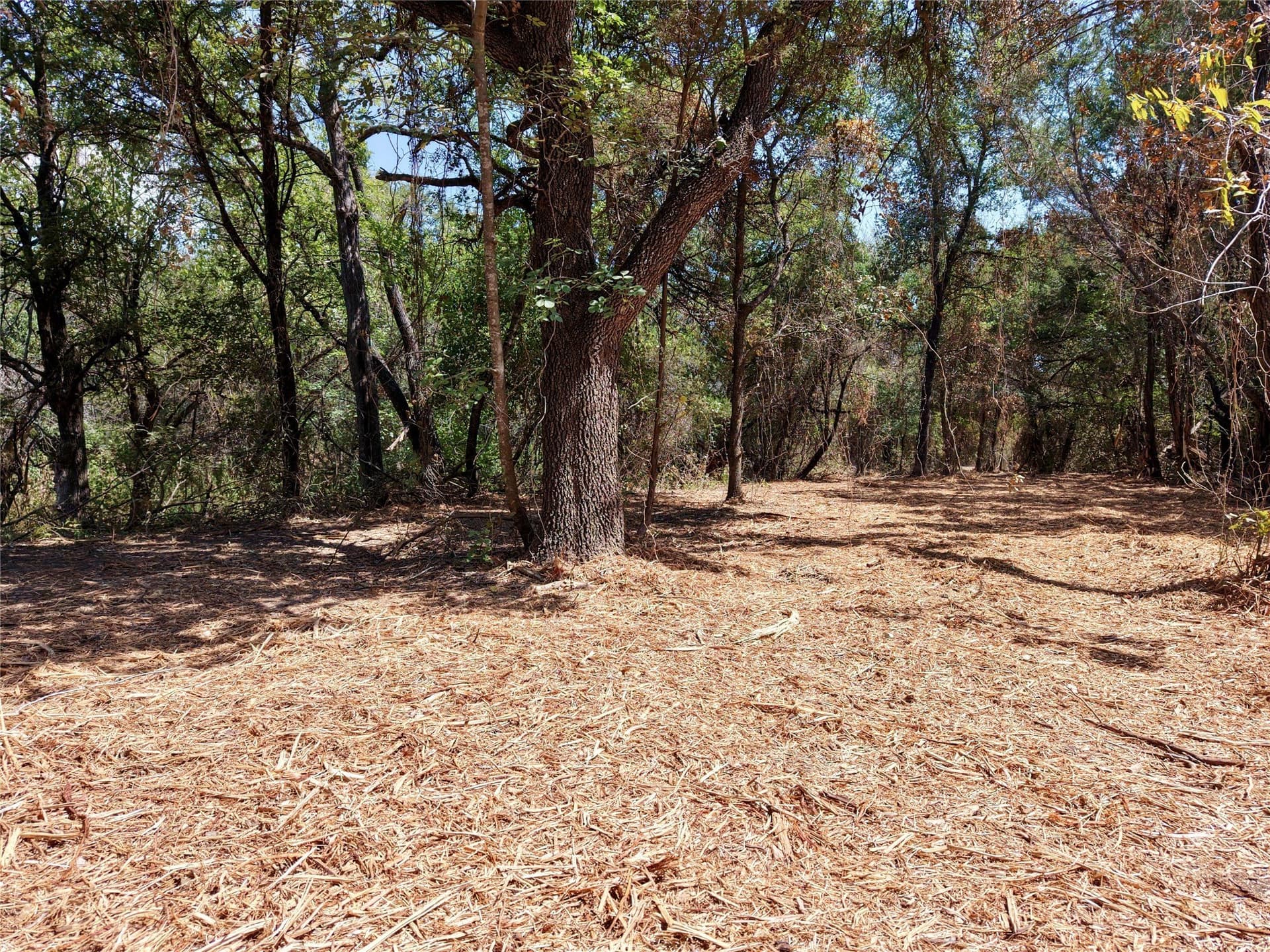 16.3 acres in Bosque County - photo 16