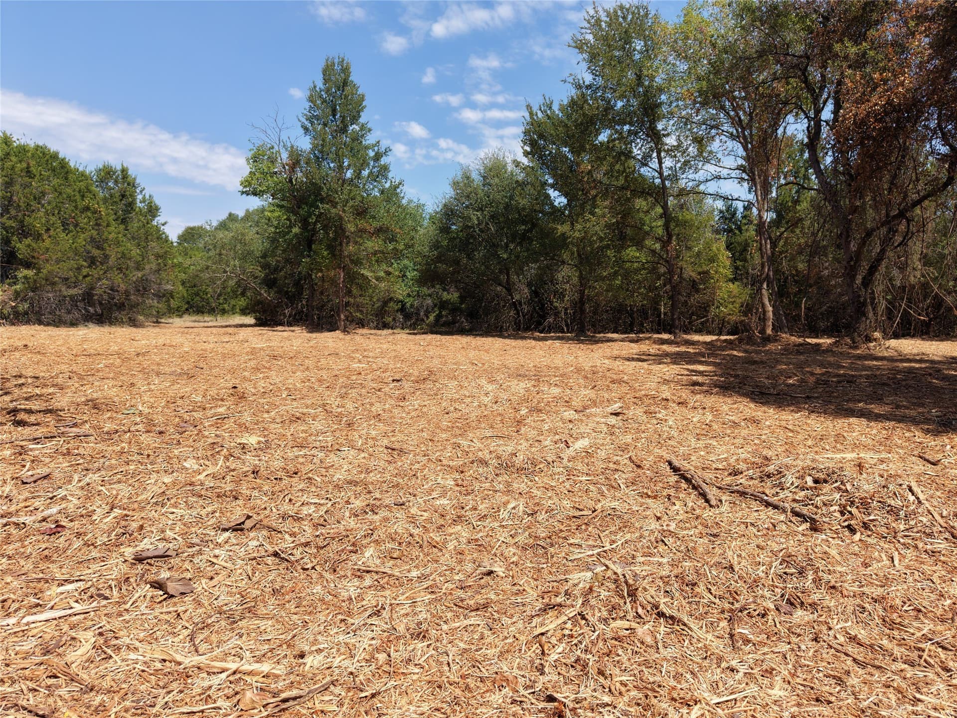 16.3 acres in Bosque County - photo 8