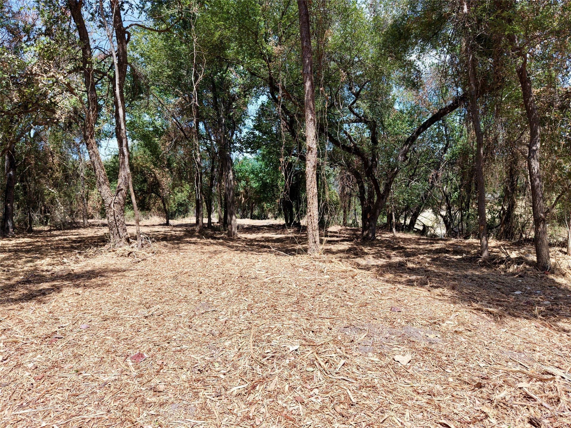 16.3 acres in Bosque County - photo 20