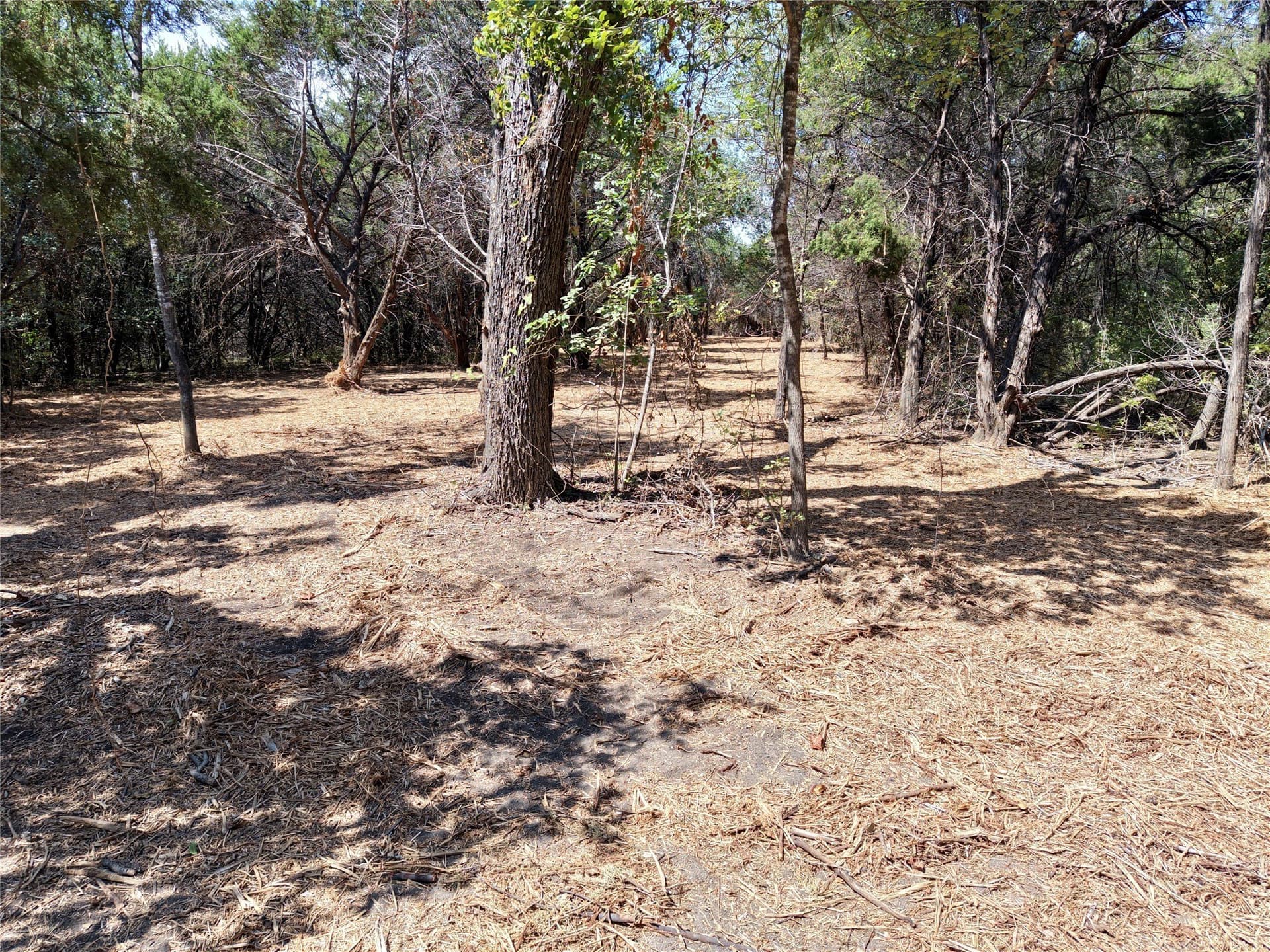 16.3 acres in Bosque County - photo 19
