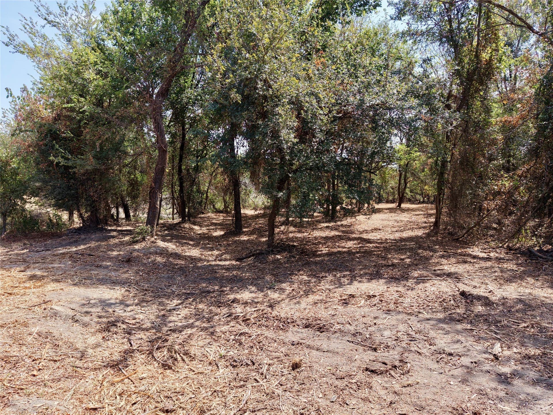 16.3 acres in Bosque County - photo 23
