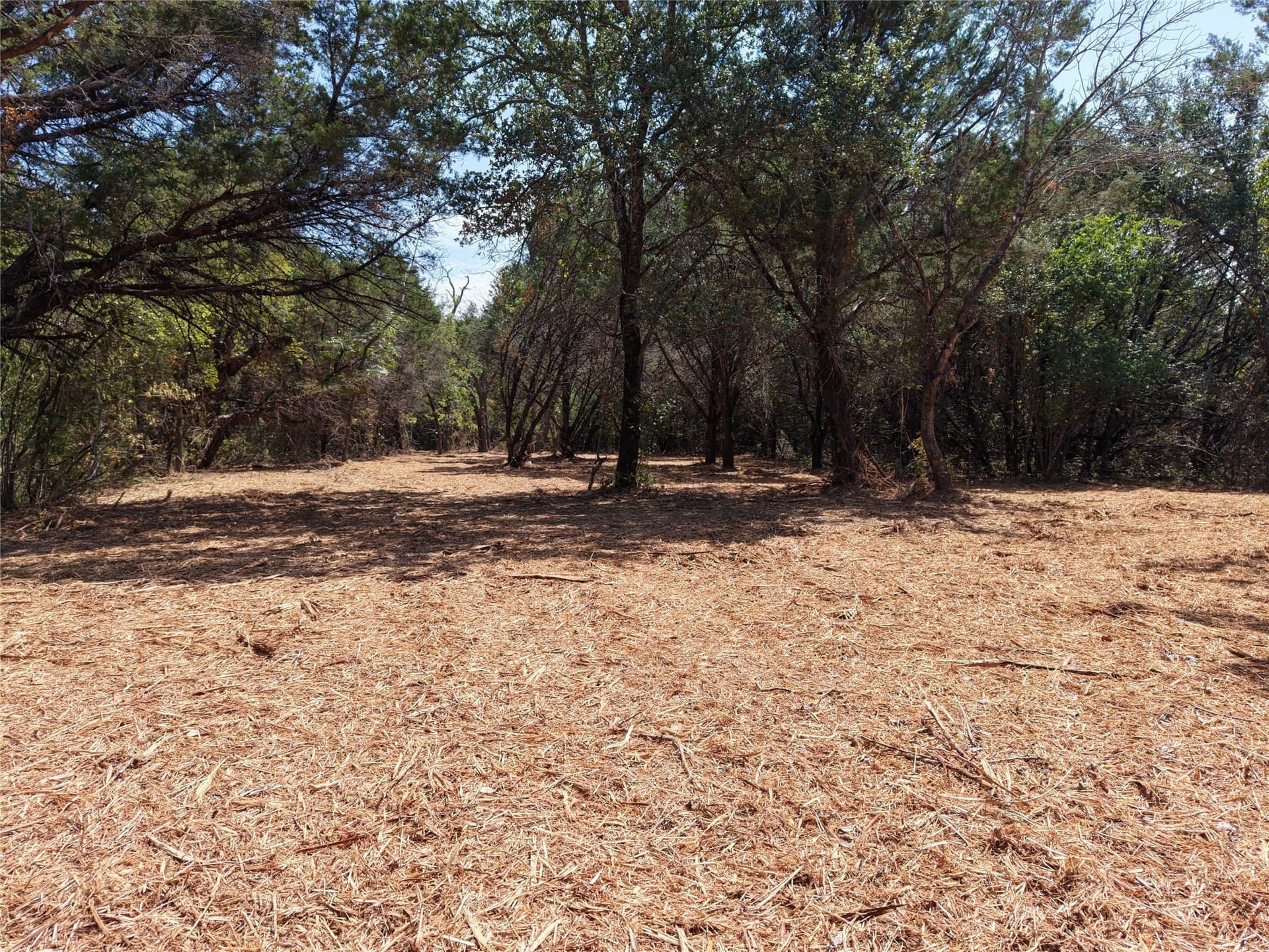 16.3 acres in Bosque County - photo 11