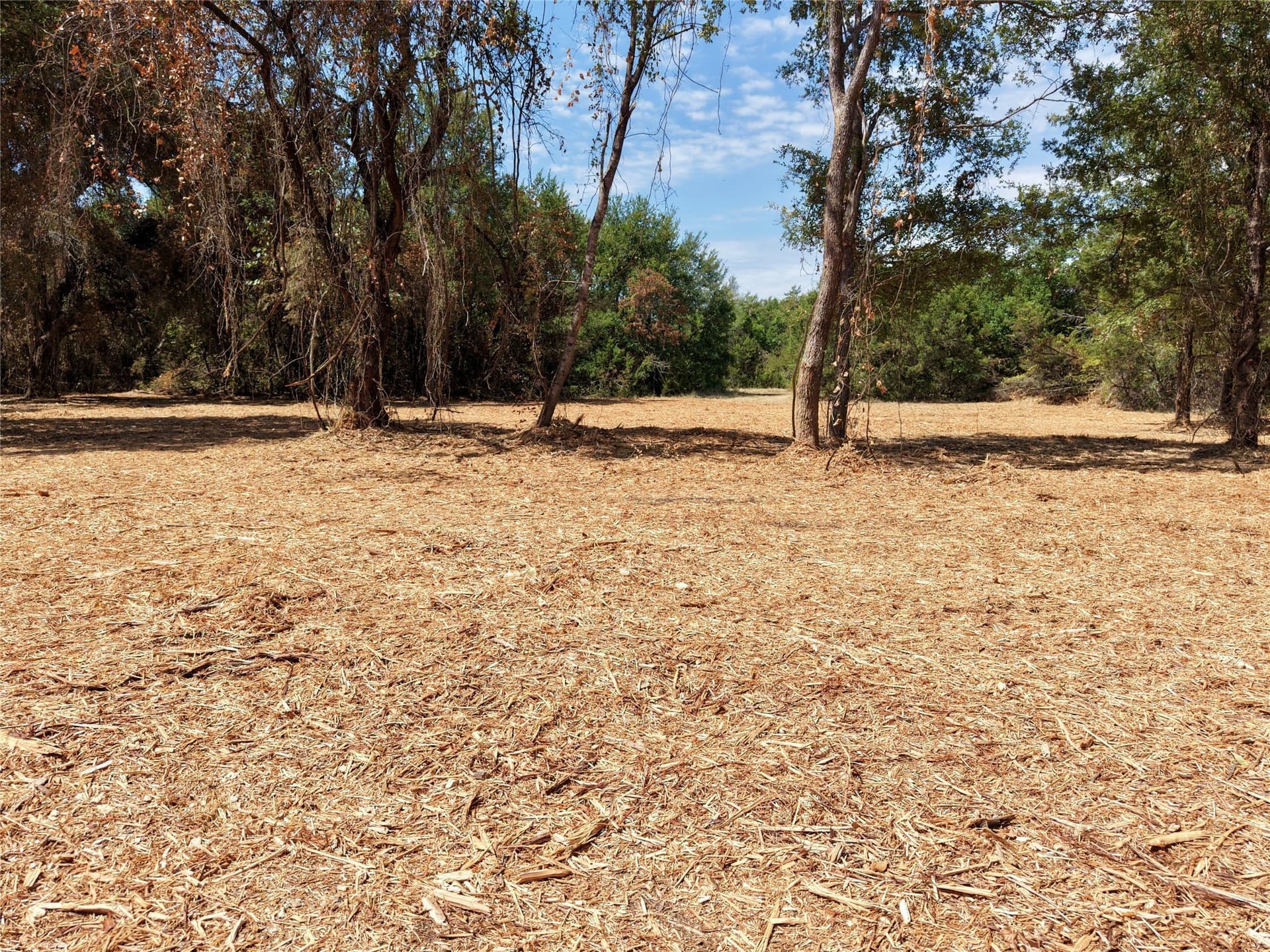 16.3 acres in Bosque County - photo 6