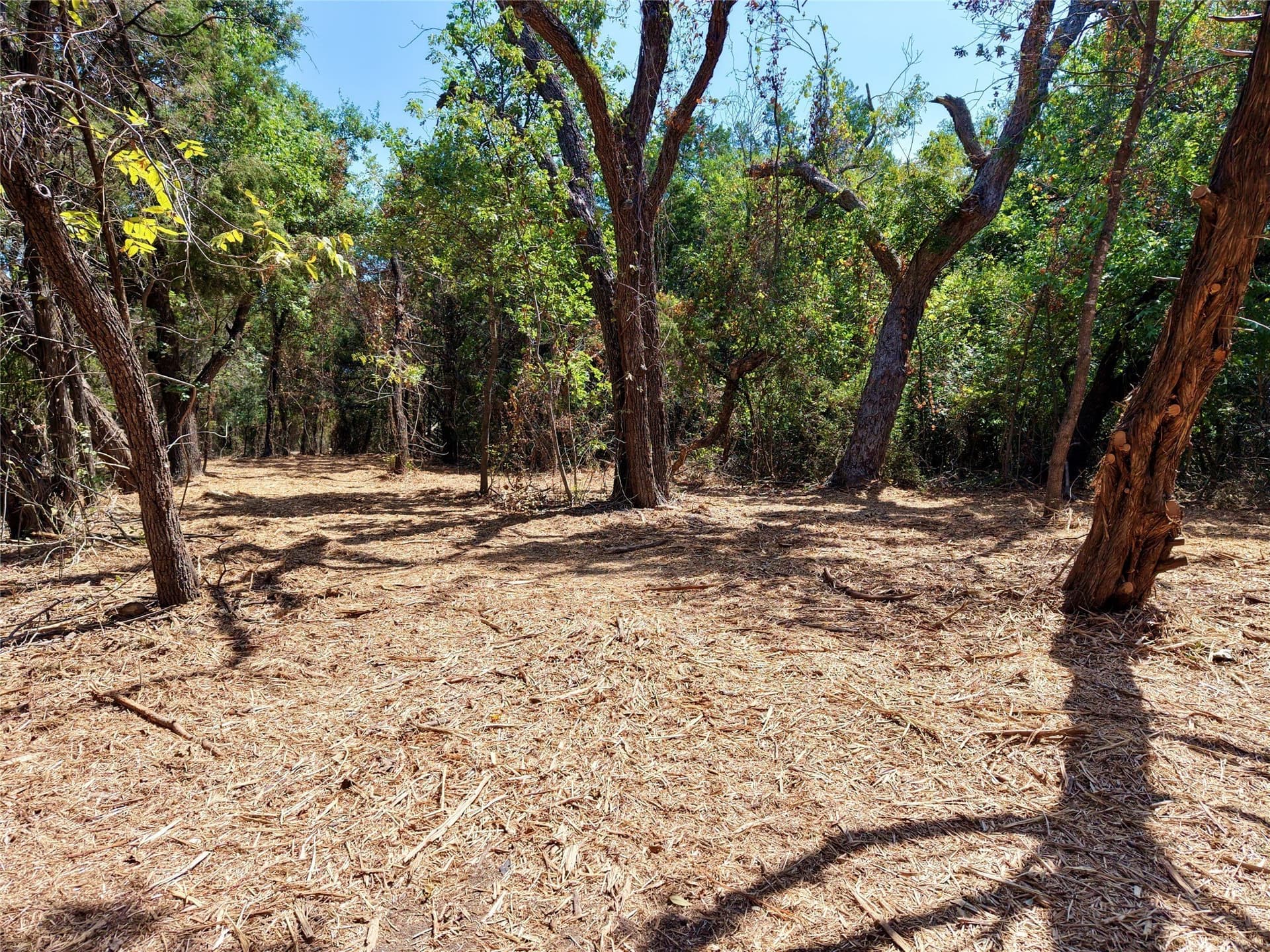 16.3 acres in Bosque County - photo 15