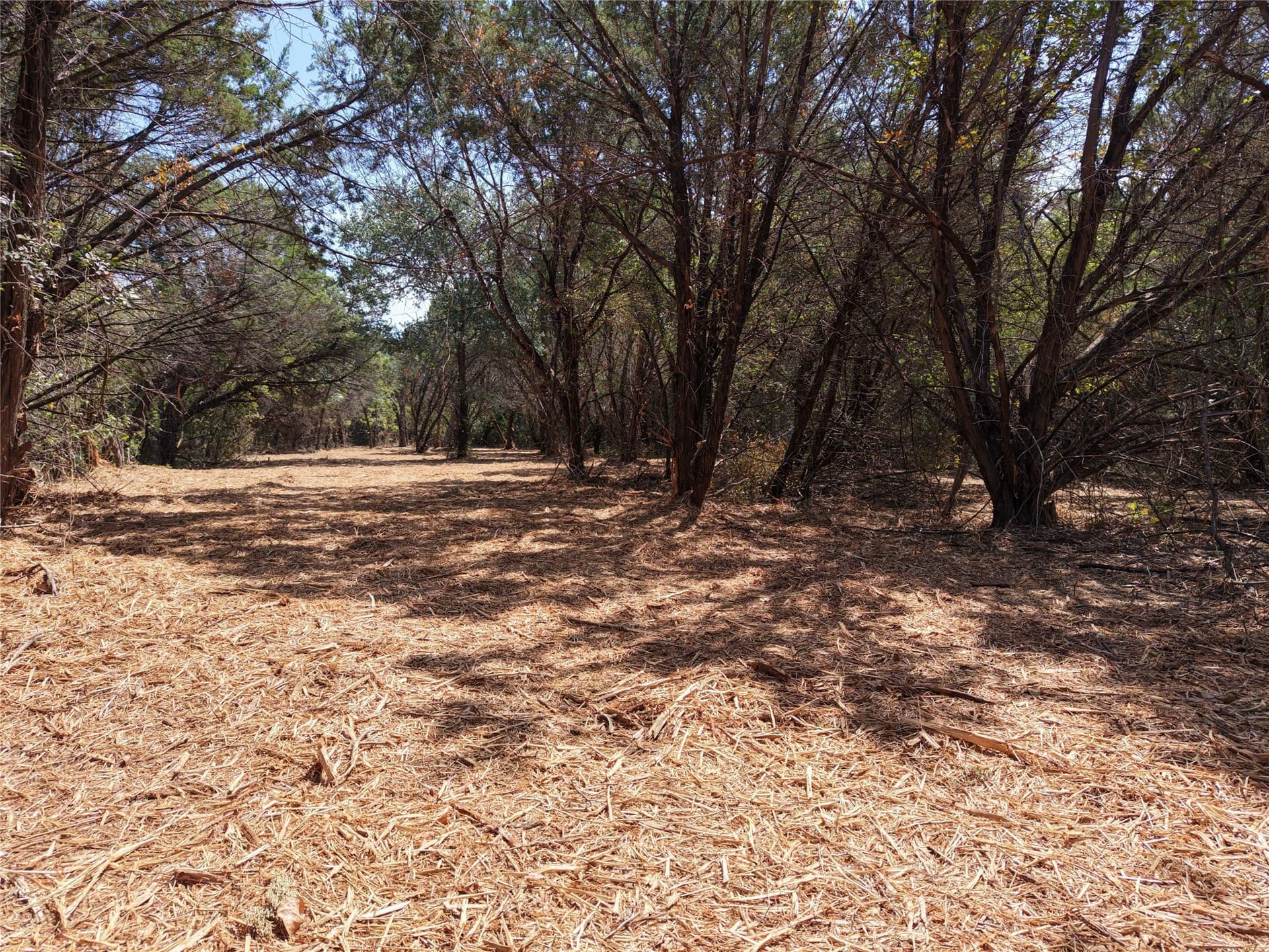 16.3 acres in Bosque County - photo 9