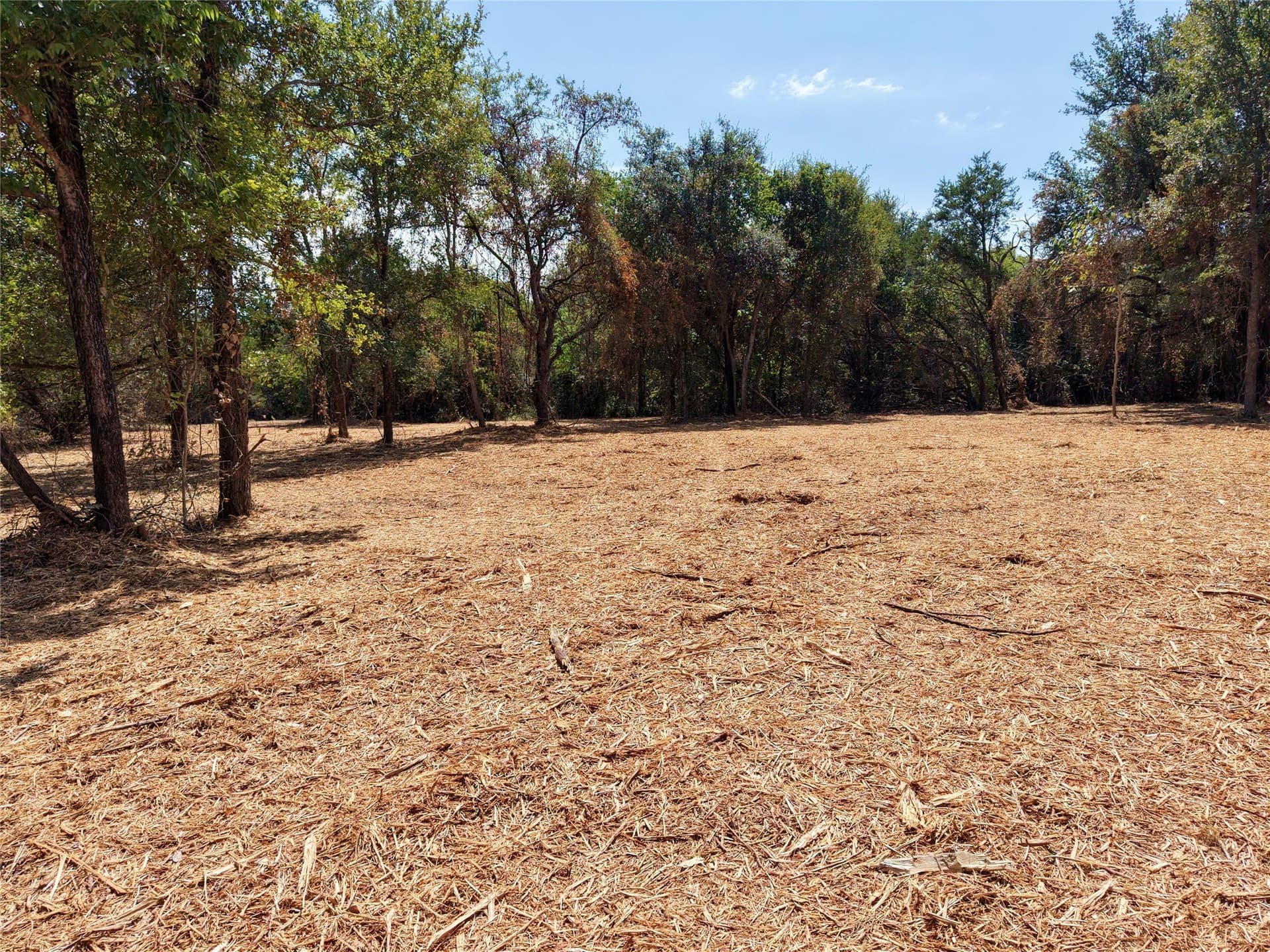 16.3 acres in Bosque County - photo 7