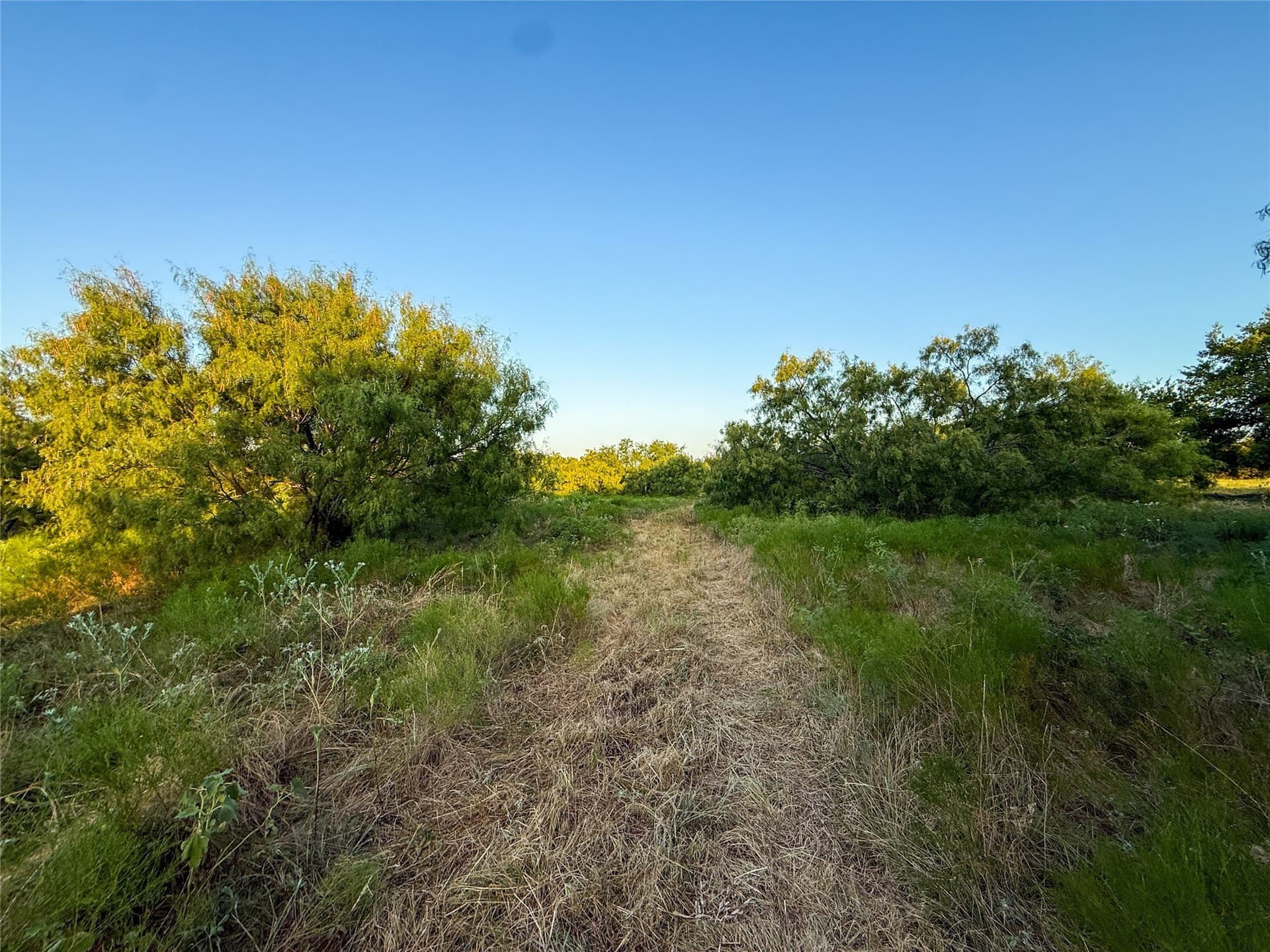 16.65 acres in Grayson County - photo 24