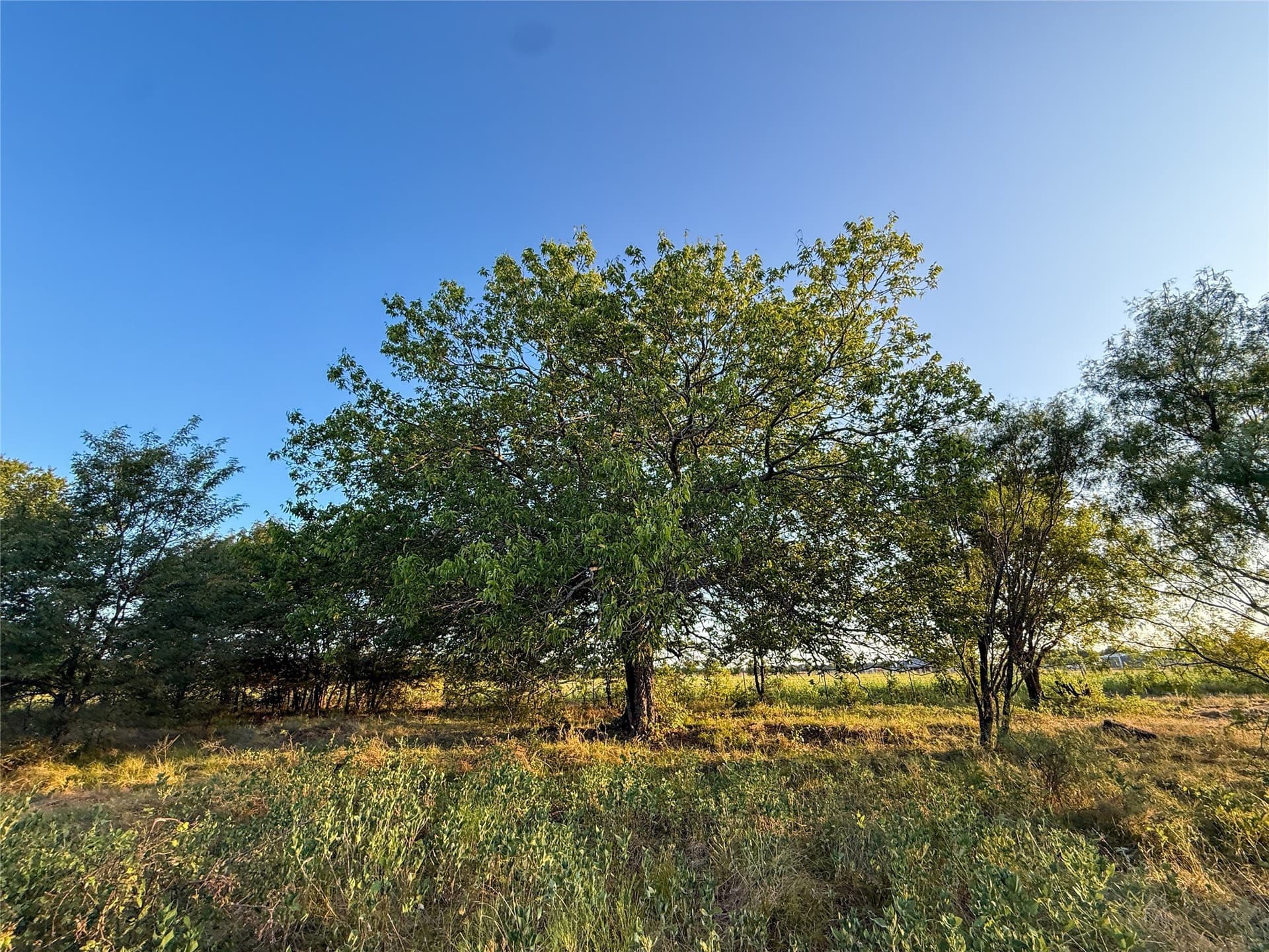 16.65 acres in Grayson County - photo 25