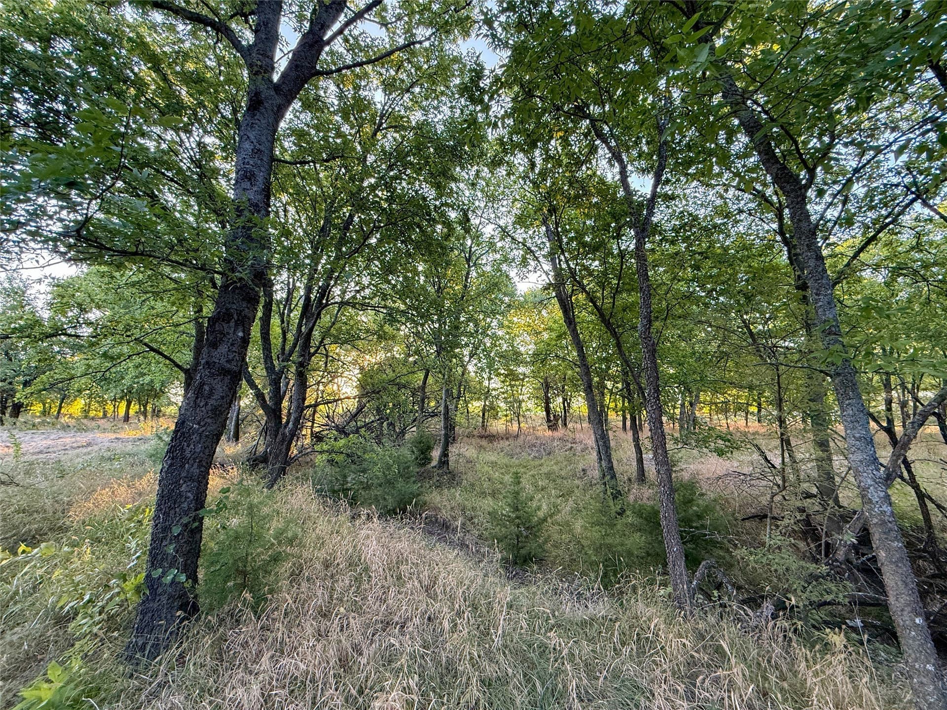 16.65 acres in Grayson County - photo 28