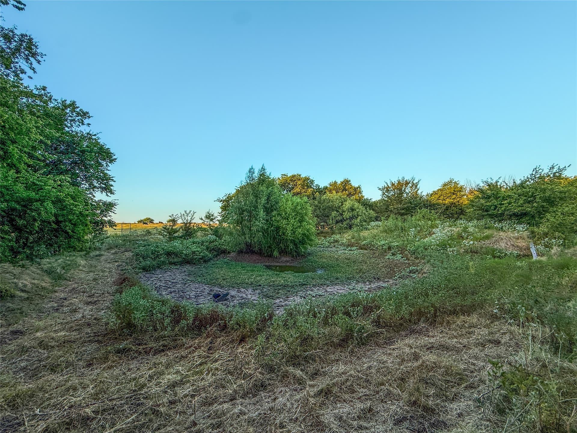 16.65 acres in Grayson County - photo 22