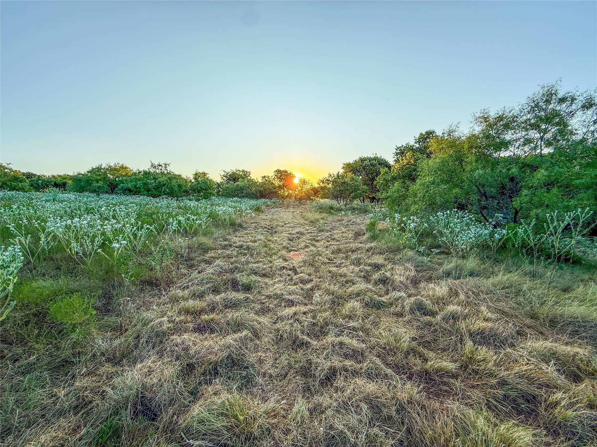16.65 acres in Grayson County - photo 20