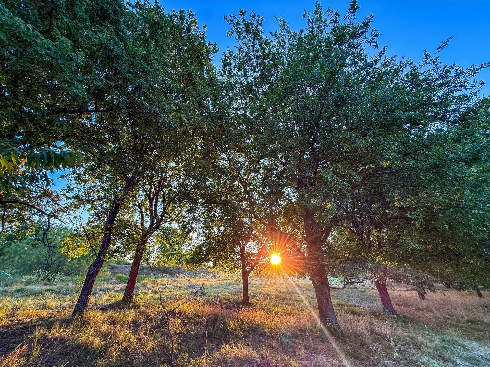 16.65 acres in Grayson County - photo 21