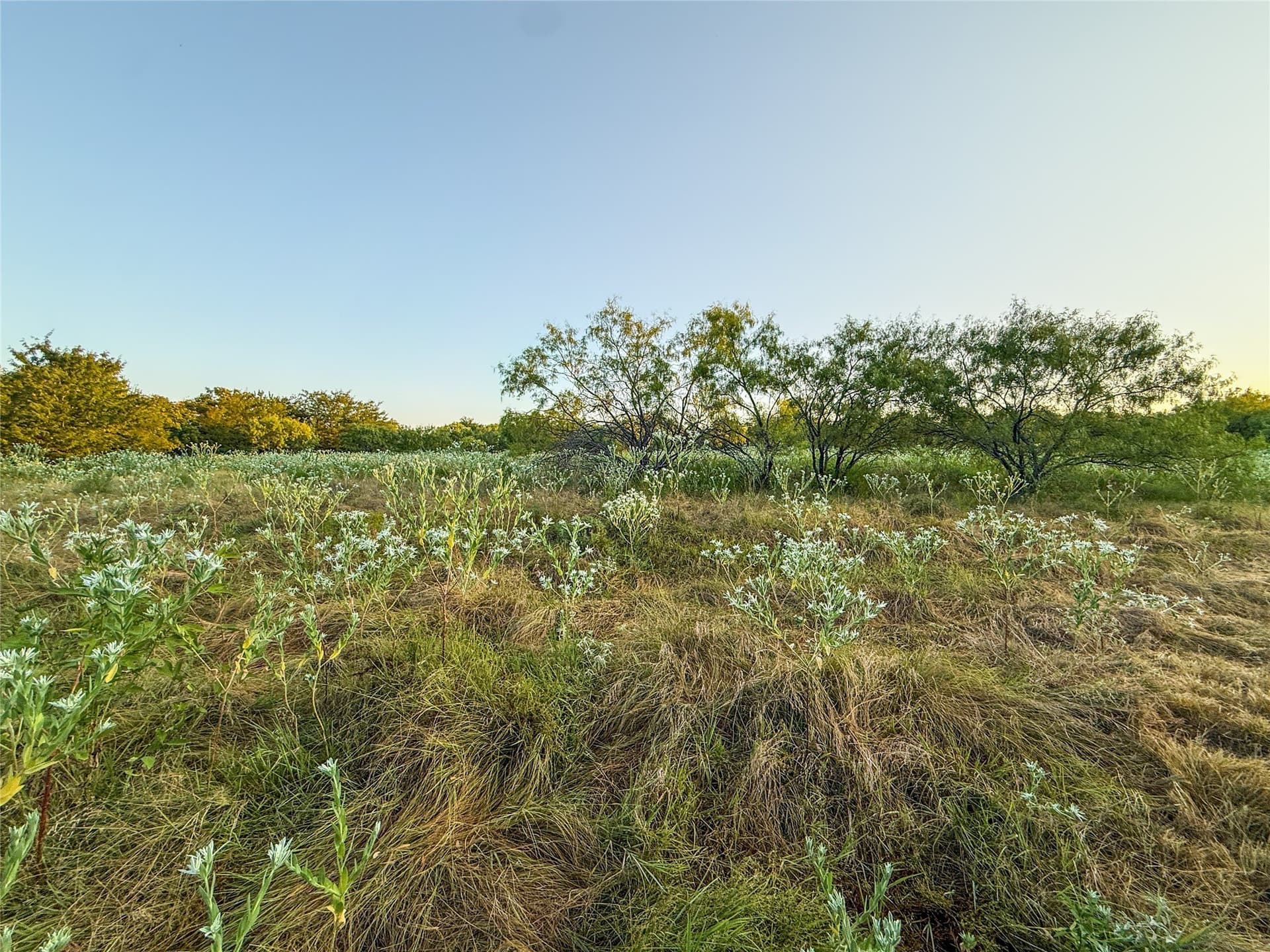 16.65 acres in Grayson County - photo 19