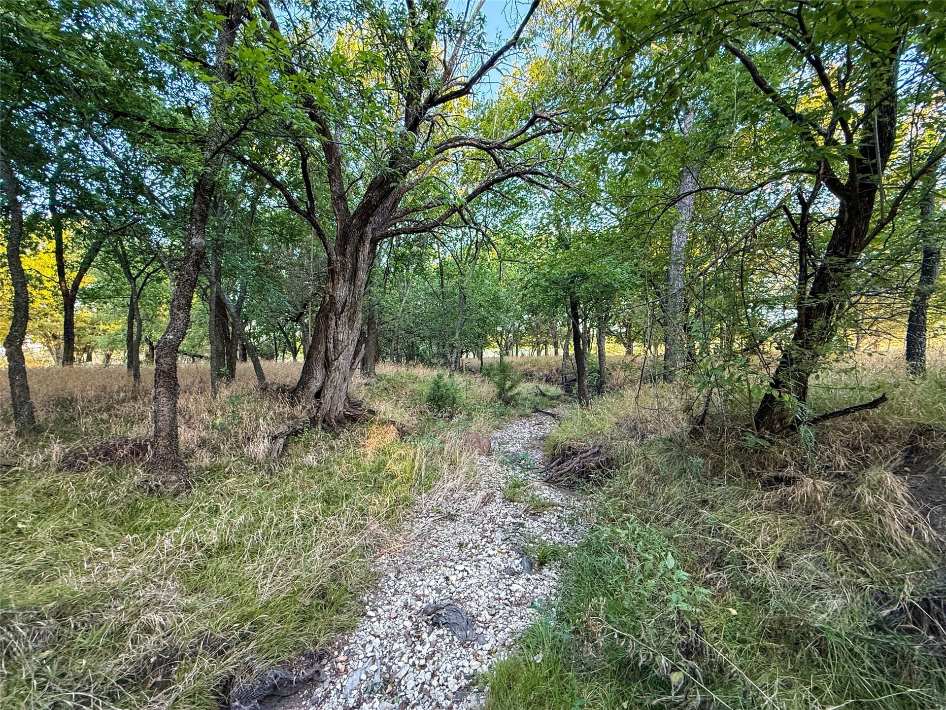 16.65 acres in Grayson County - photo 29