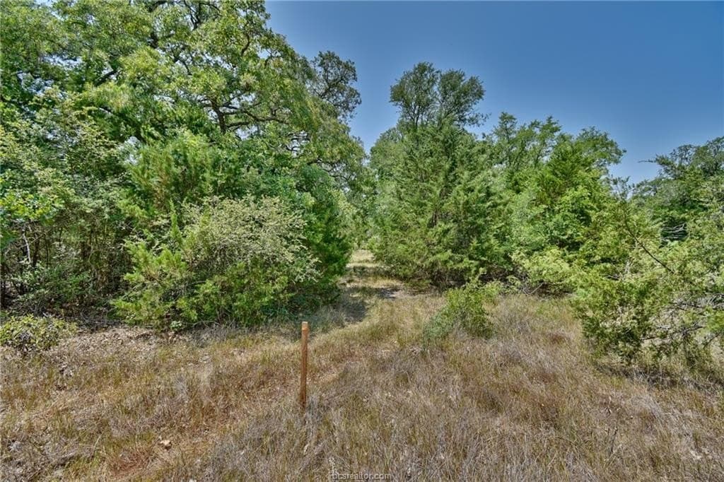 4 acres in Burleson County - photo 16