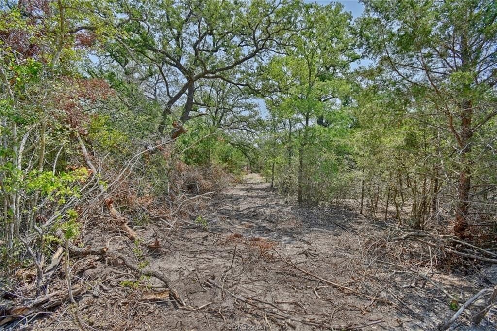 4 acres in Burleson County - photo 15