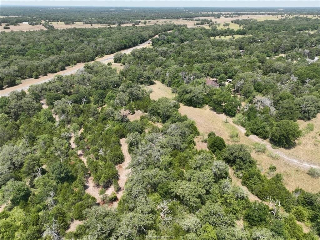 4 acres in Burleson County - photo 22
