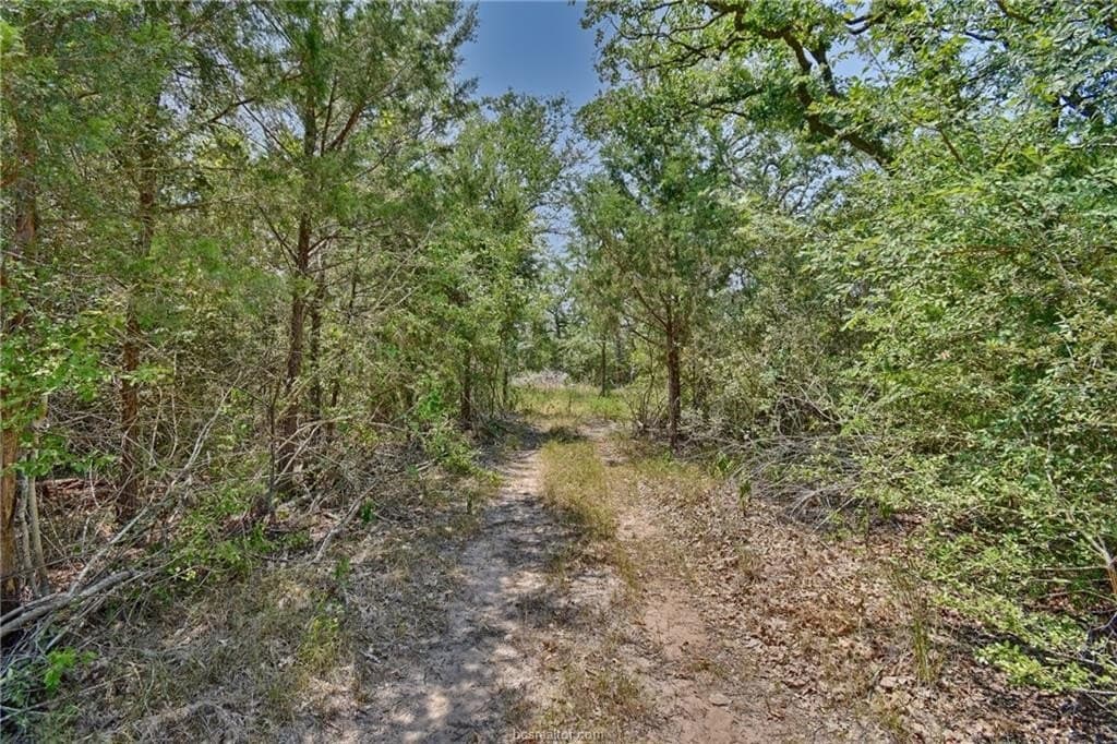 4 acres in Burleson County - photo 10