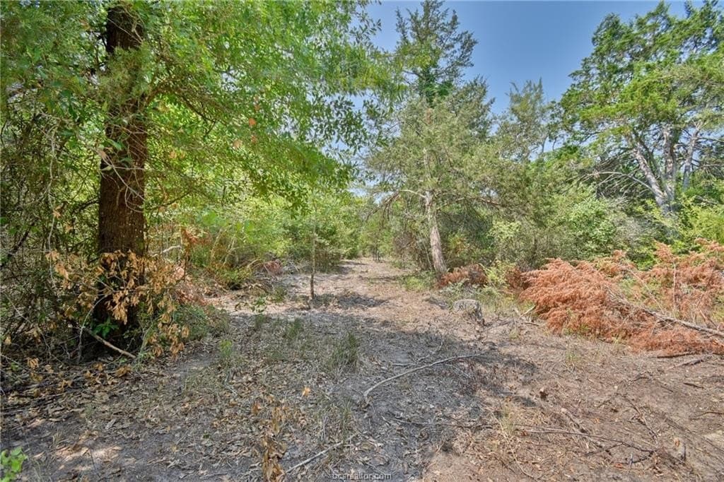 4 acres in Burleson County - photo 8