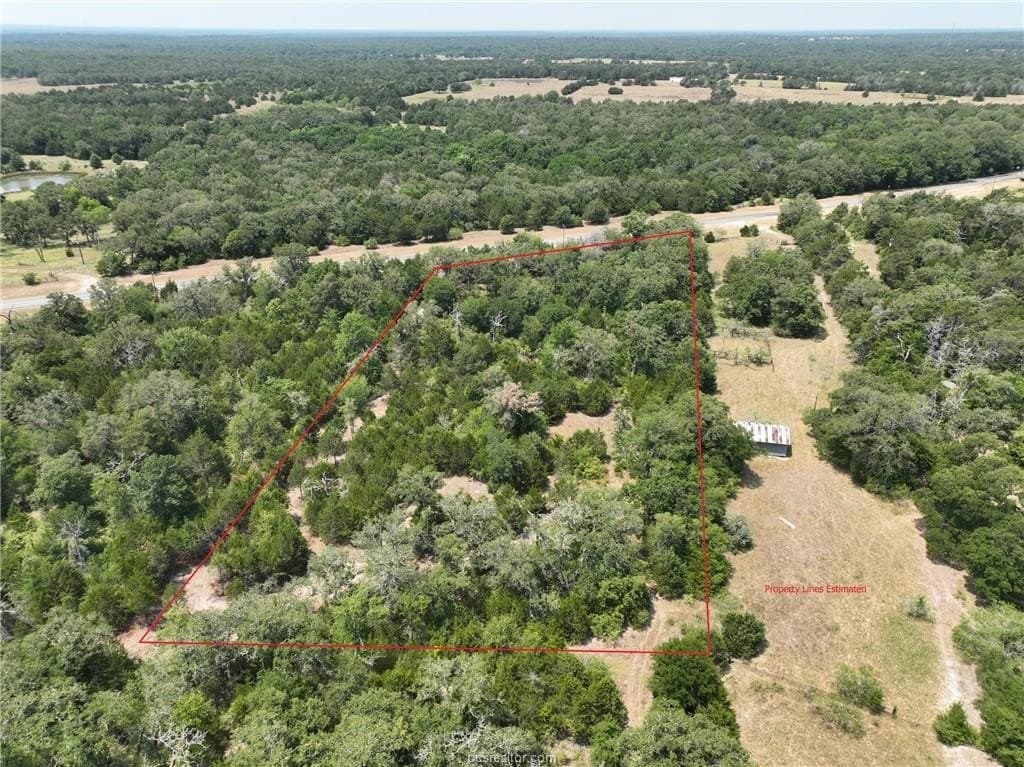 4 acres in Burleson County gallery image 4
