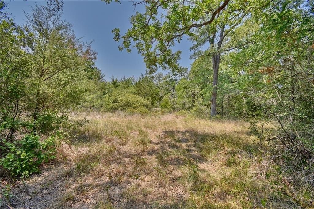 4 acres in Burleson County - photo 6