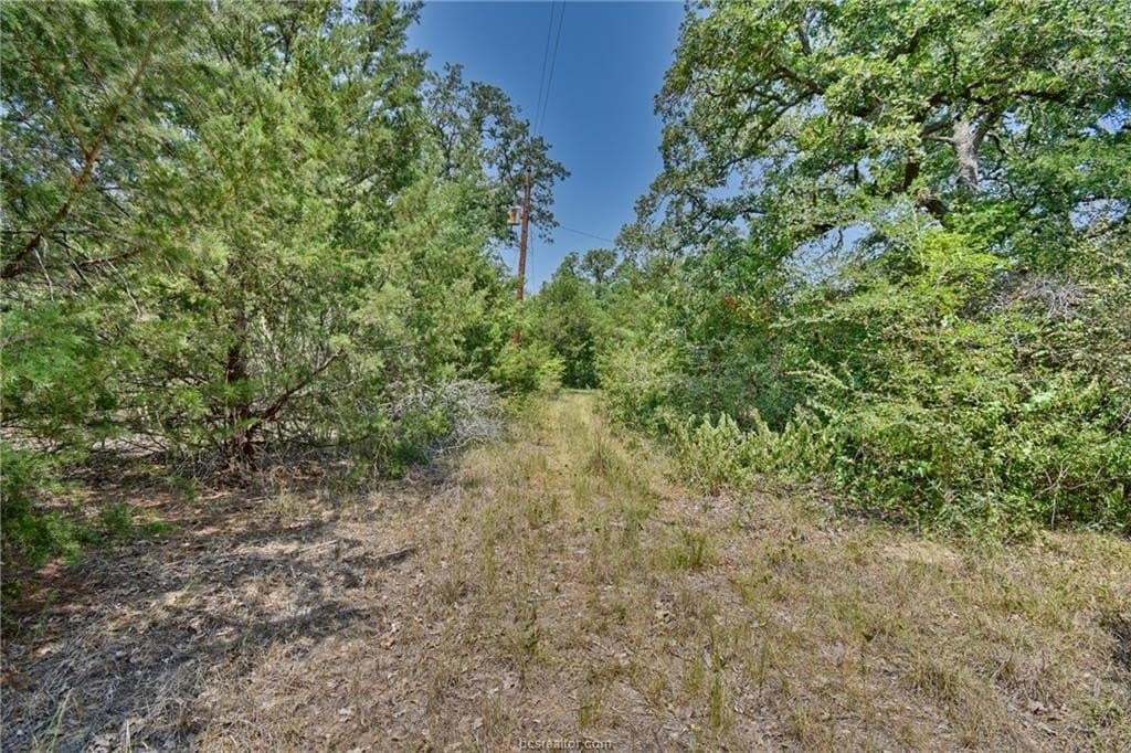 4 acres in Burleson County - photo 19