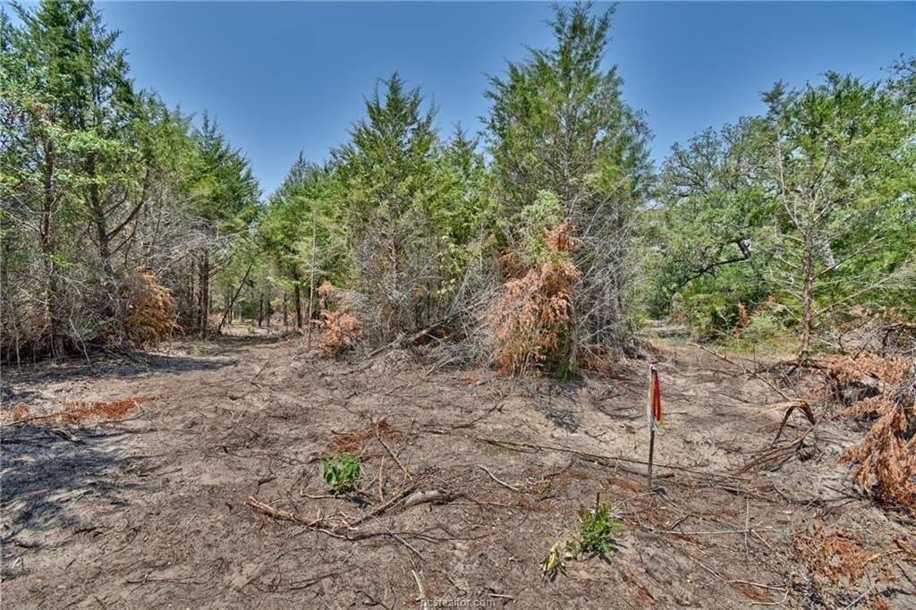 4 acres in Burleson County - photo 13