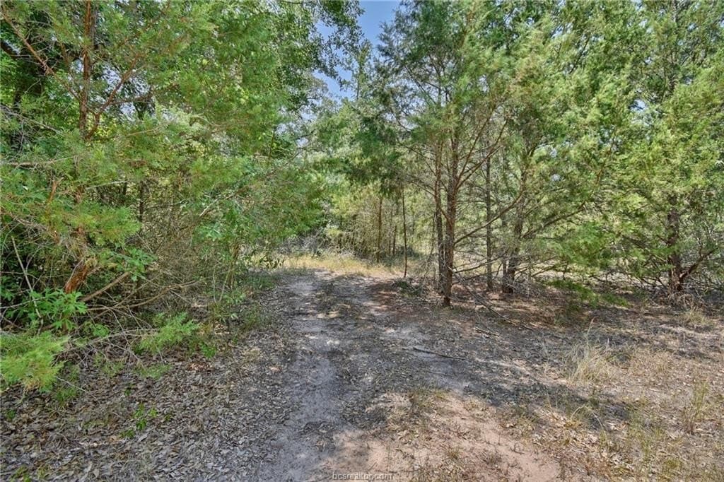 4 acres in Burleson County - photo 9