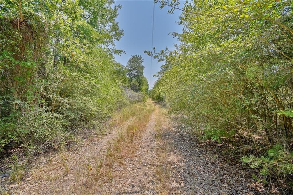 4 acres in Burleson County - photo 18