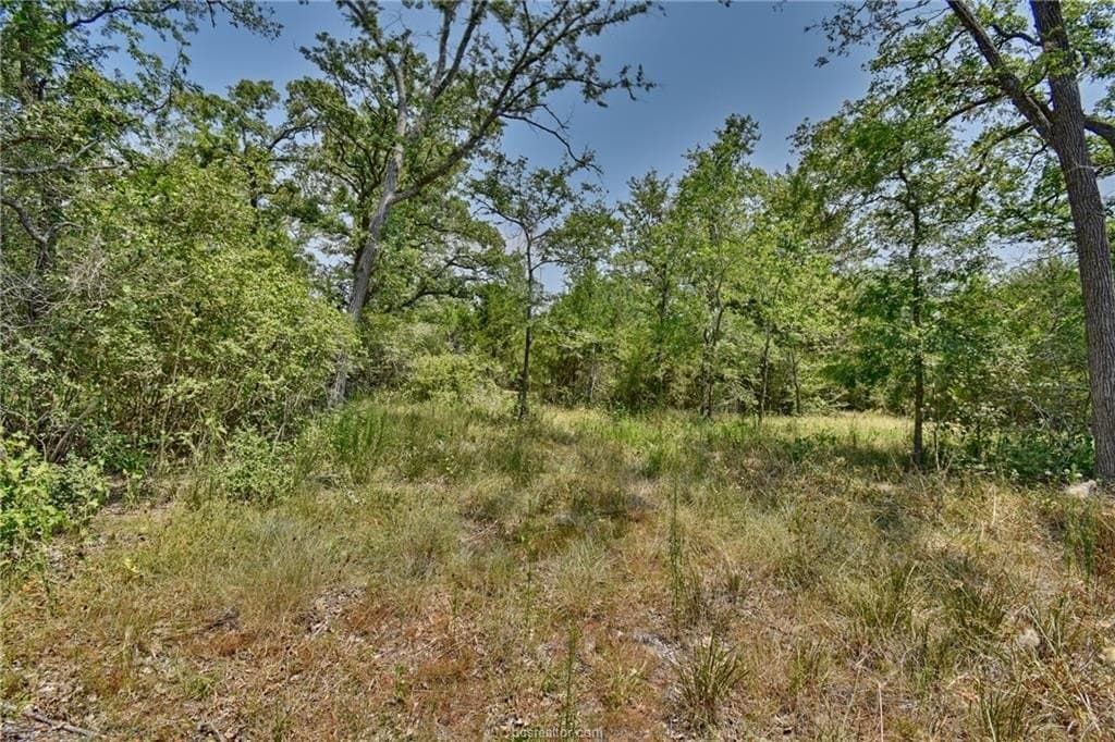 4 acres in Burleson County - photo 11