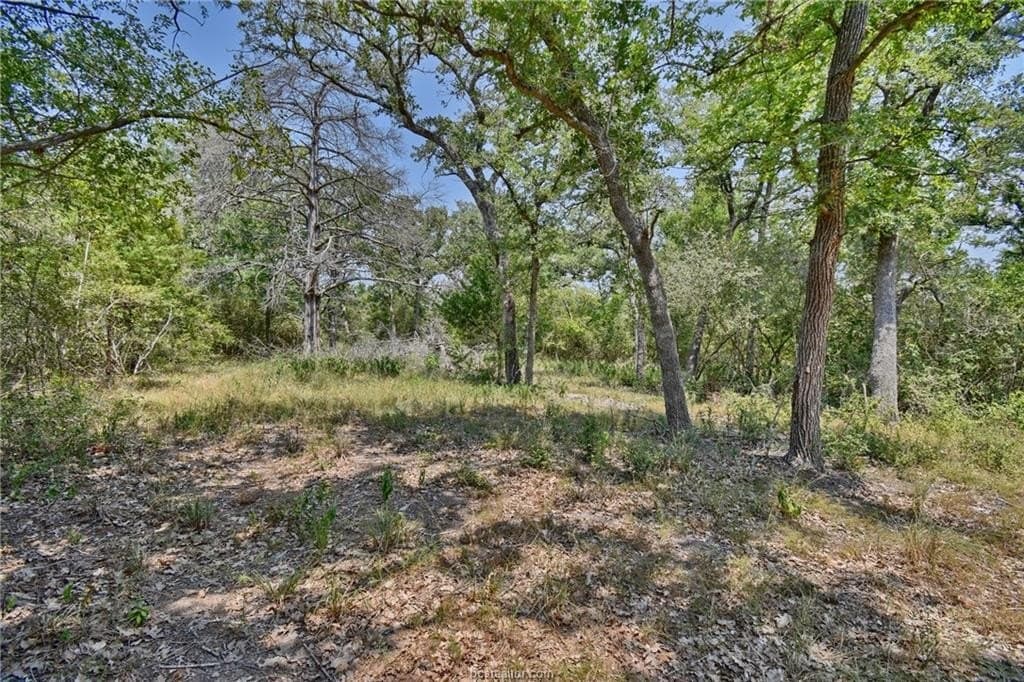 4 acres in Burleson County - photo 12