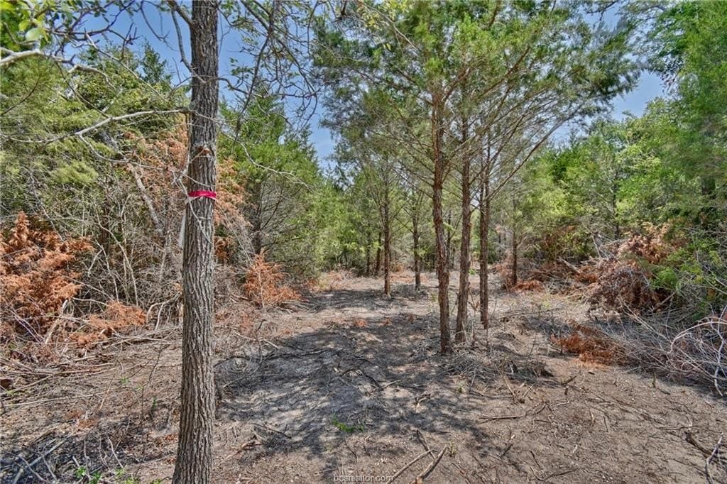 4 acres in Burleson County - photo 20